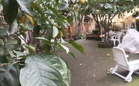 Il Giardino Nascosto