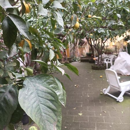 ホテル Il Giardino Nascosto ナポリ エクステリア 写真