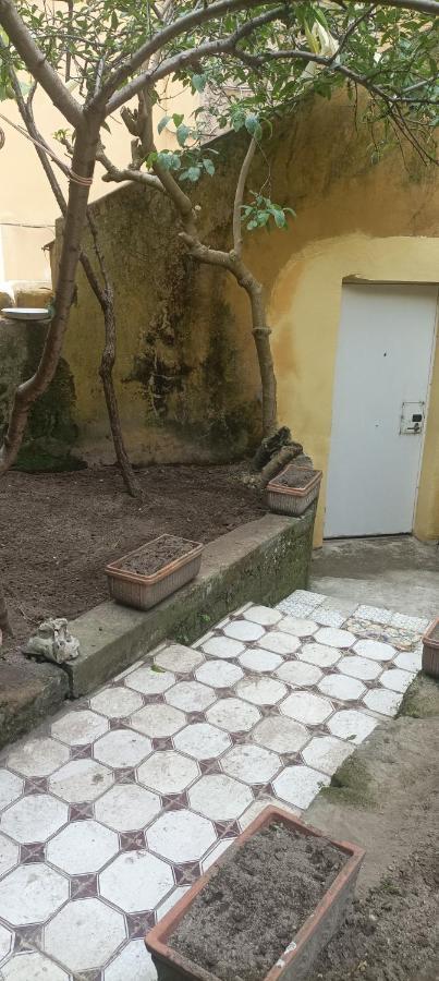 ホテル Il Giardino Nascosto ナポリ エクステリア 写真