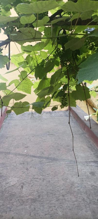 ホテル Il Giardino Nascosto ナポリ エクステリア 写真
