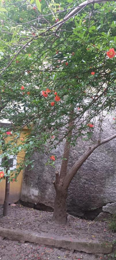 ホテル Il Giardino Nascosto ナポリ エクステリア 写真