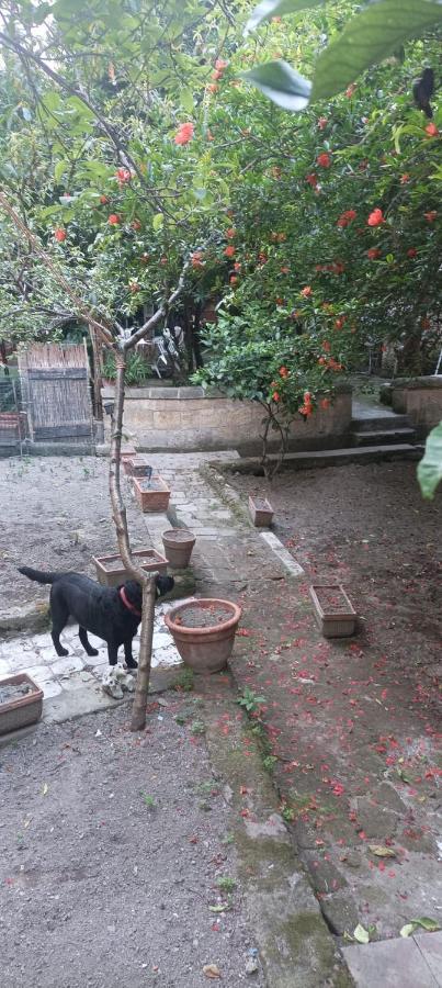 ホテル Il Giardino Nascosto ナポリ エクステリア 写真