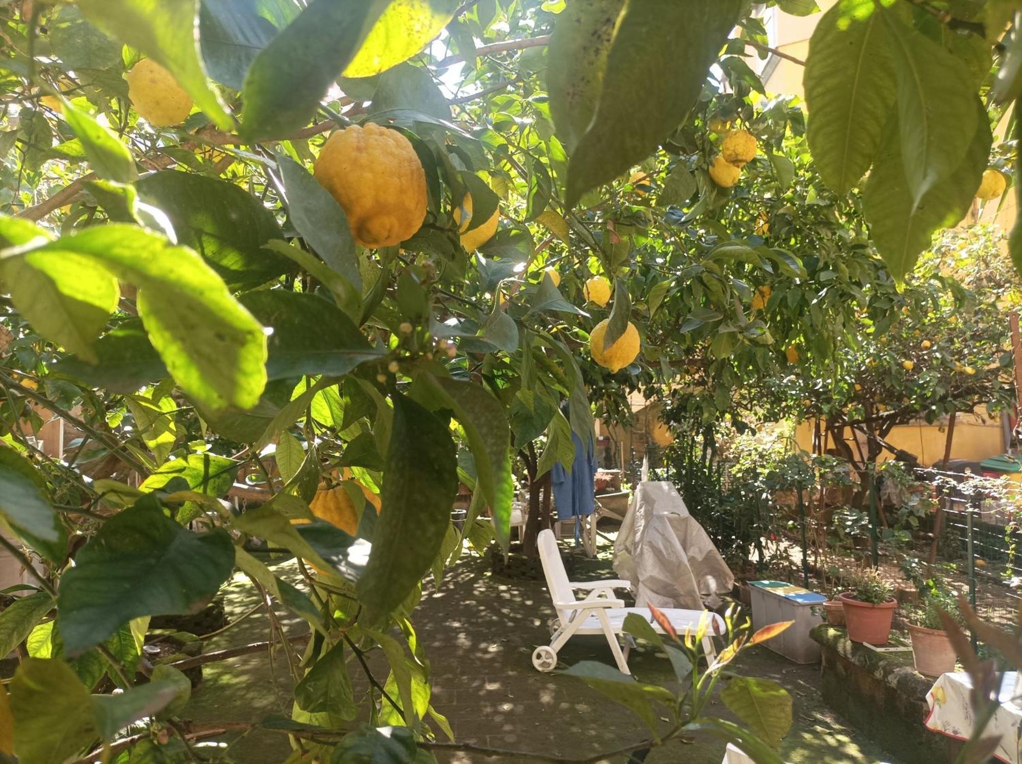 ホテル Il Giardino Nascosto ナポリ エクステリア 写真
